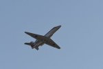 DSC_6186