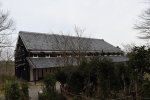 DSC_7553