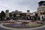 DSC_7971