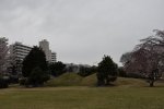 DSC_1704