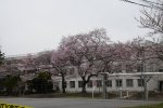 DSC_1723