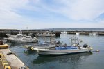 DSC_2288