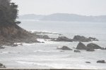 DSC_2576