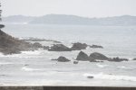 DSC_2579