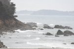 DSC_2583