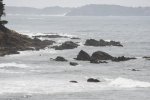 DSC_2590