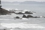 DSC_2594