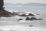 DSC_2595
