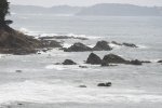 DSC_2596