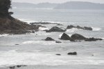 DSC_2597