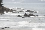 DSC_2600