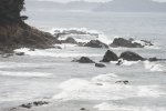 DSC_2601
