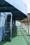 DSC_2627