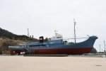 Dcim19335/DSC_2704