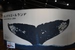 Dcim19335/DSC_2713
