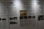 Dcim19335/DSC_2775