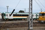 Dcim19336/DSC_2879