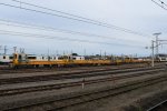 Dcim19336/DSC_2884