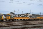 Dcim19336/DSC_2887