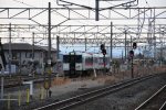 Dcim19336/DSC_2903