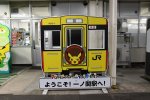 Dcim19336/DSC_2913