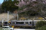 Dcim19340/DSC_3313