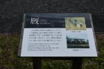 Dcim19343/DSC_3644