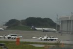 Dcim19345/DSC_3894
