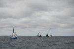 Dcim19347/DSC_4117