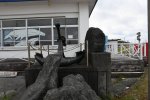 Dcim19347/DSC_4176