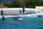 Dcim19348/DSC_4444