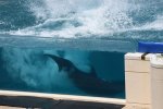 Dcim19349/DSC_4596