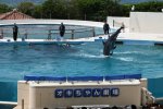 Dcim19353/DSC_5292