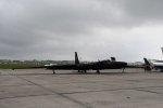 Dcim19362/DSC_6443