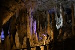 Dcim19369/DSC_7373