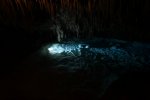 Dcim19374/DSC_8061