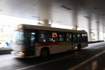 Dcim19374/DSC_8138