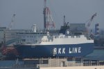Dcim19376/DSC_8156