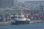 Dcim19376/DSC_8157
