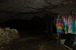 Dcim19376/DSC_8259