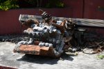 Dcim19377/DSC_8282