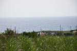 Dcim19379/DSC_8612