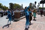 Dcim19385/DSC_8827
