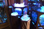 Dcim19387/DSC_9007