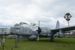 Dcim19398/DSC_5585
