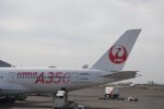 Dcim19399/DSC_0266