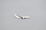 Dcim19399/DSC_0284