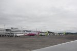 Dcim19399/DSC_0339