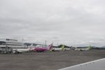 Dcim19399/DSC_0340