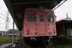 Dcim19400/DSC_0448